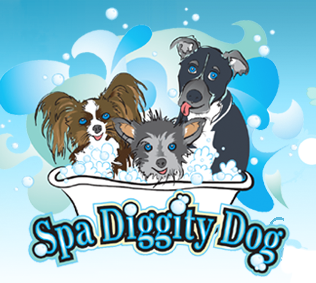 Spa Diggity Dog